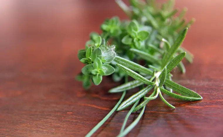 Can Rosemary Oil Cause Hair Loss